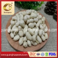 Factory Price Wholesale Blanched Peanut Kernels Long Shape